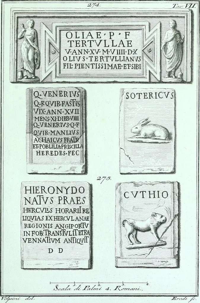 An illustration from Desiderii Spreti historici Ravennatis De amplitudine, eversione, et restauratione urbis Ravennae libri tres, 1793, leaf 324