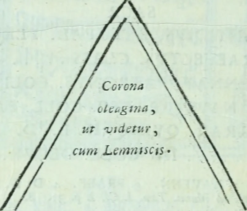 An illustration from Desiderii Spreti historici Ravennatis De amplitudine, eversione, et restauratione urbis Ravennae libri tres, 1793, leaf 399