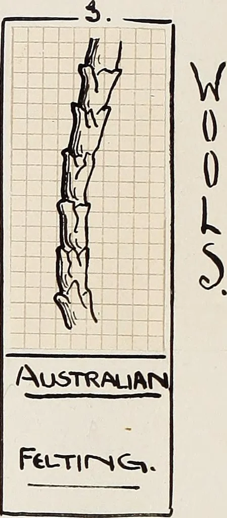 An illustration from Design book, 1912, leaf 15