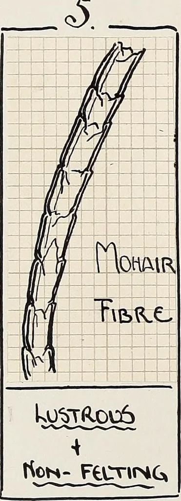 An illustration from Design book, 1912, leaf 15