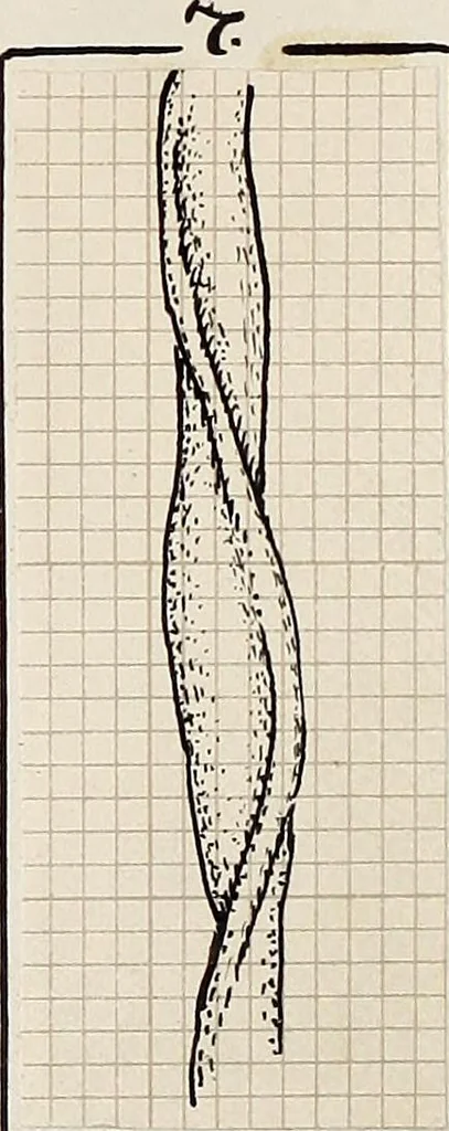 An illustration from Design book, 1912, leaf 15