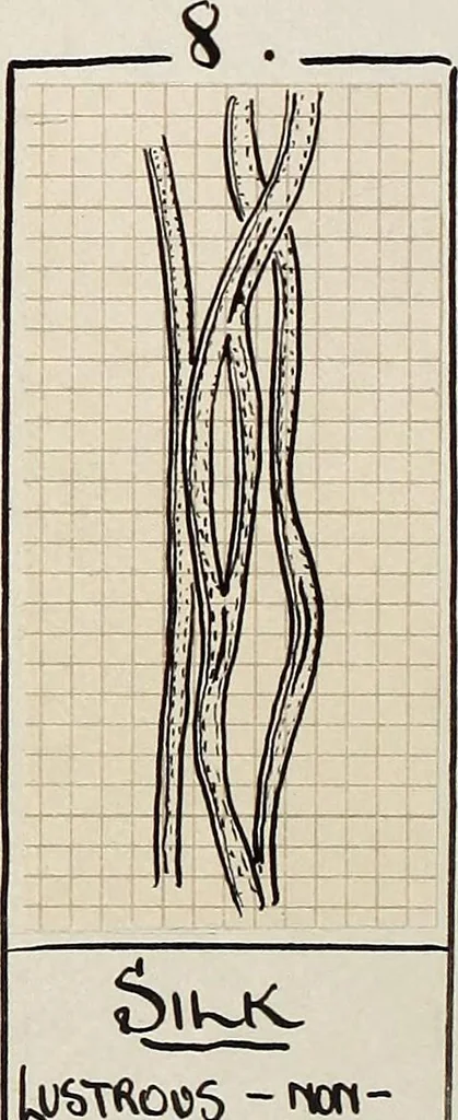 An illustration from Design book, 1912, leaf 15