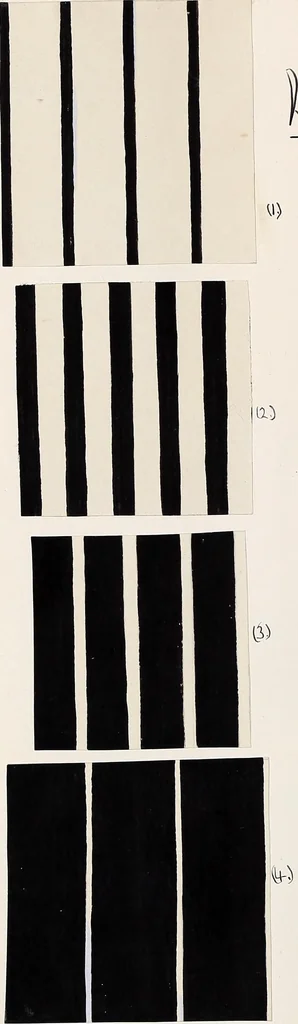 An illustration from Design book, 1912, leaf 15