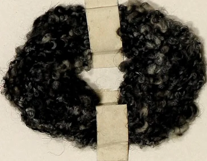 An illustration from Design book, 1912, leaf 67