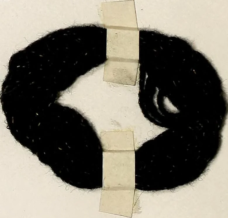An illustration from Design book, 1912, leaf 79