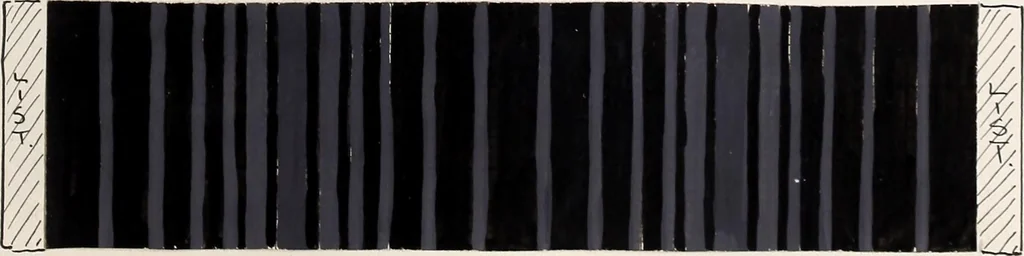 An illustration from Design book, 1912, leaf 82