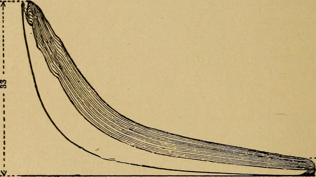 An illustration from The design and construction of oil engines;, 1900, leaf 196