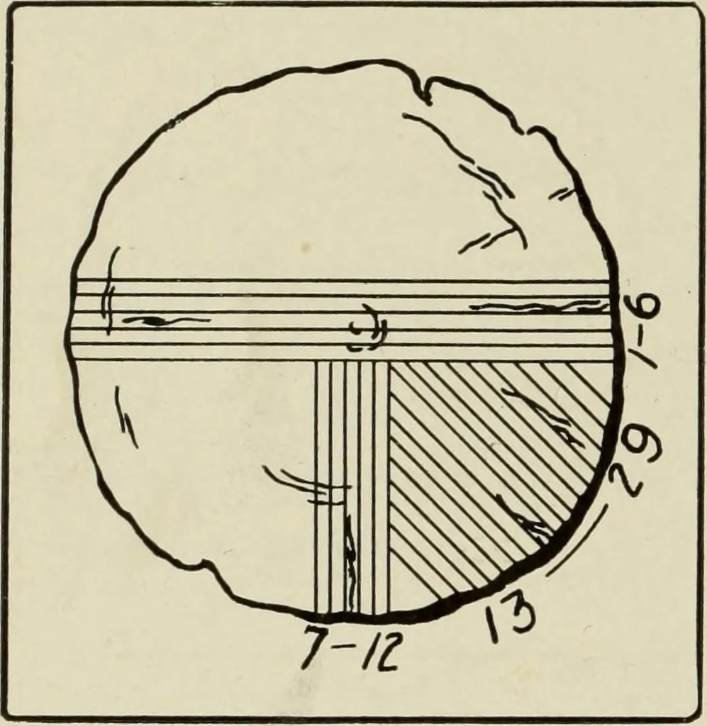 An illustration from Design and construction in wood, 1916, leaf 16