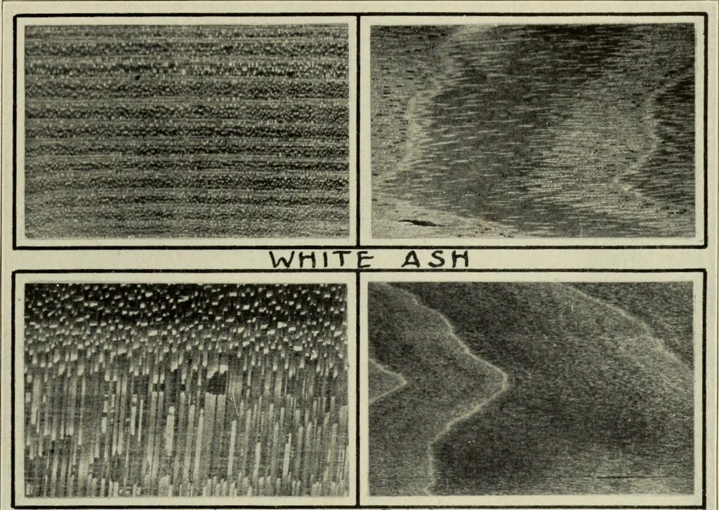 An illustration from Design and construction in wood, 1916, leaf 5