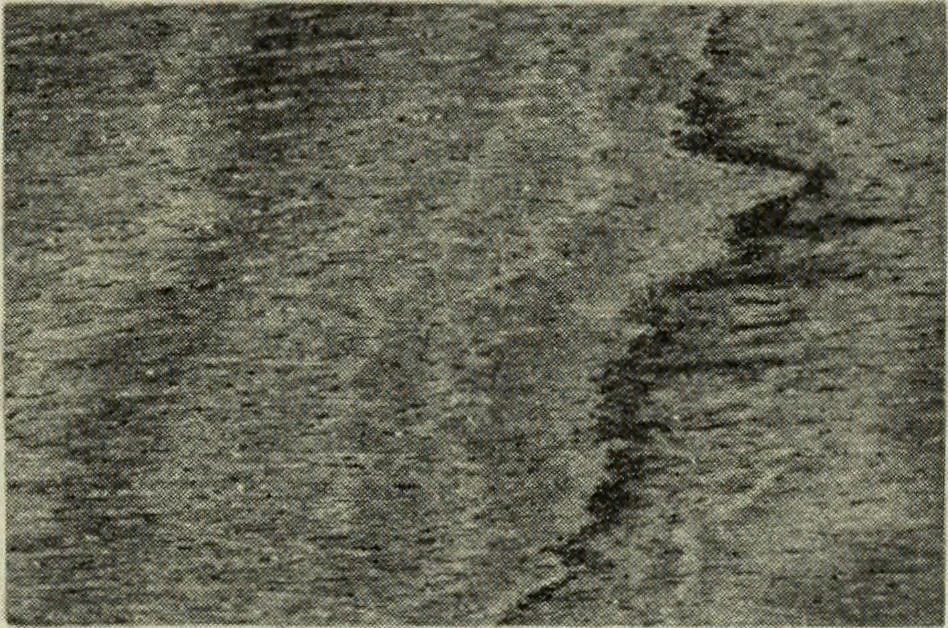 An illustration from Design and construction in wood, 1916, leaf 5