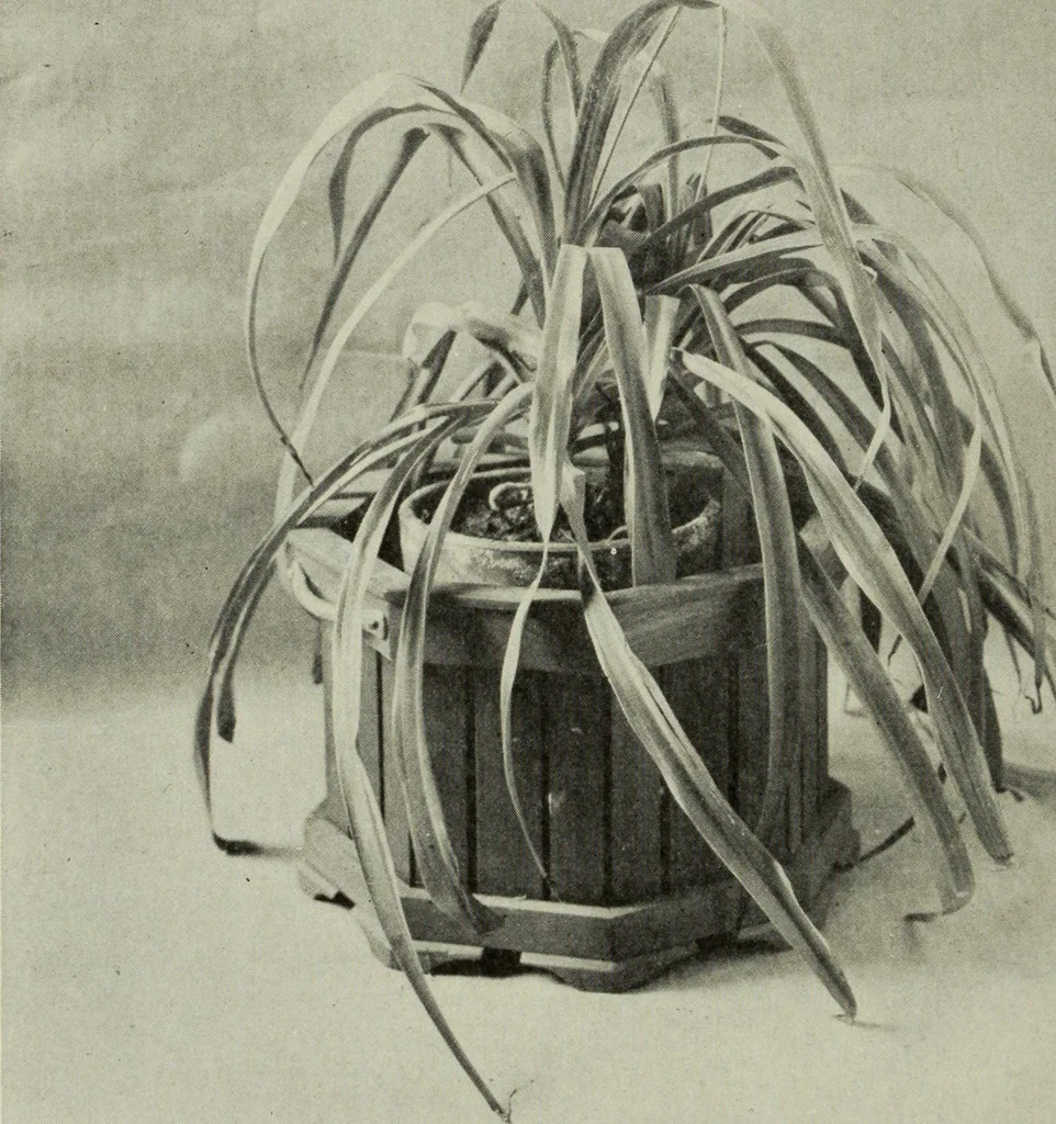 An illustration from Design and construction in wood, 1916, leaf 56