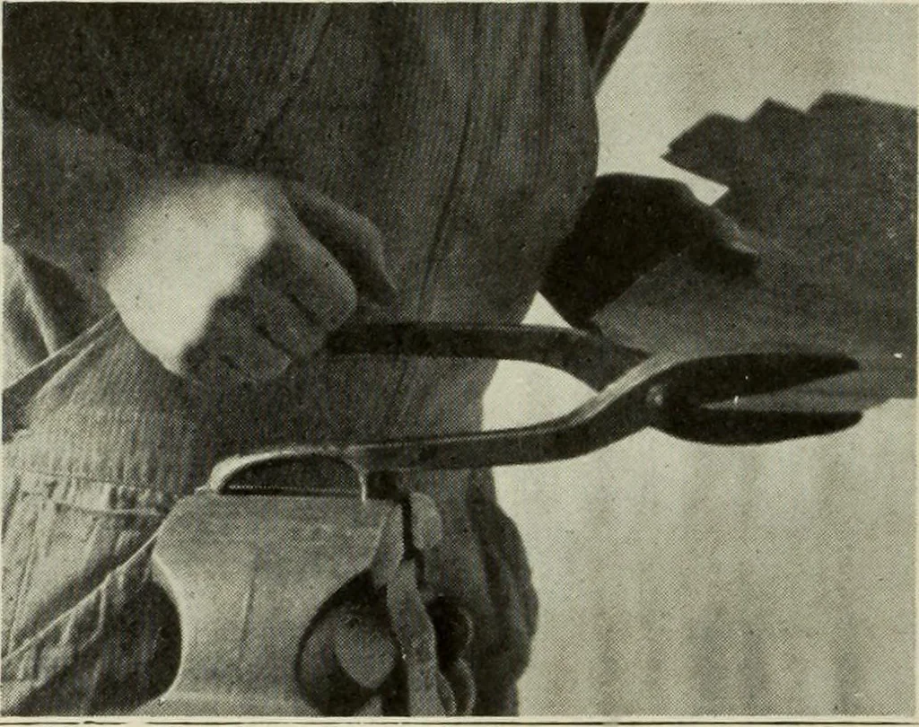 An illustration from Design and construction in wood, 1916, leaf 90