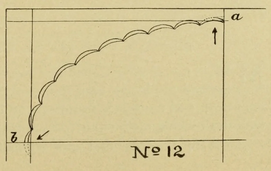 An illustration from Designing for art-needlework;, 1915, leaf 43