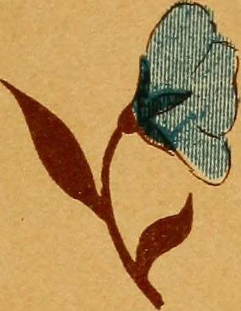 An illustration from Design in textile fabrics, 1888, leaf 172