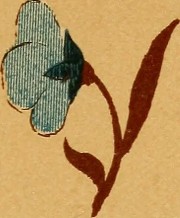 An illustration from Design in textile fabrics, 1888, leaf 172