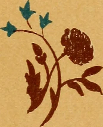 An illustration from Design in textile fabrics, 1888, leaf 172