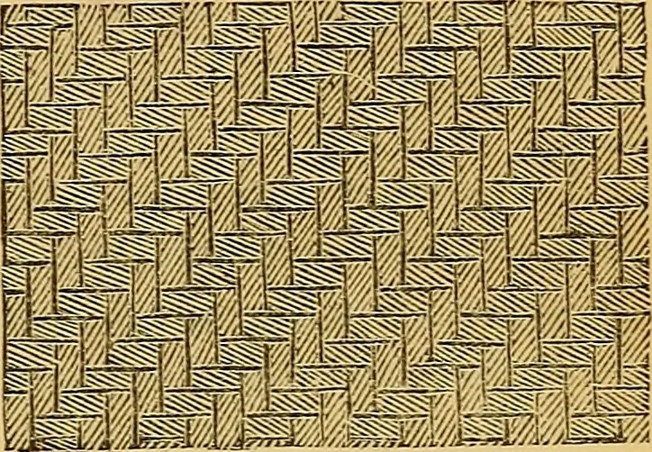 An illustration from Design in textile fabrics, 1888, leaf 22