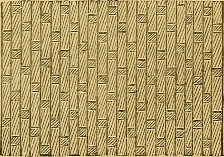 An illustration from Design in textile fabrics, 1888, leaf 24