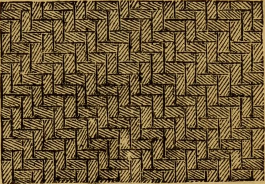 An illustration from Design in textile fabrics, 1883, leaf 24