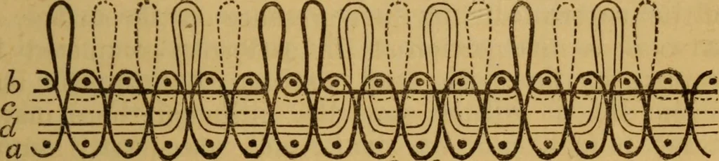 An illustration from Design in textile fabrics, 1883, leaf 254