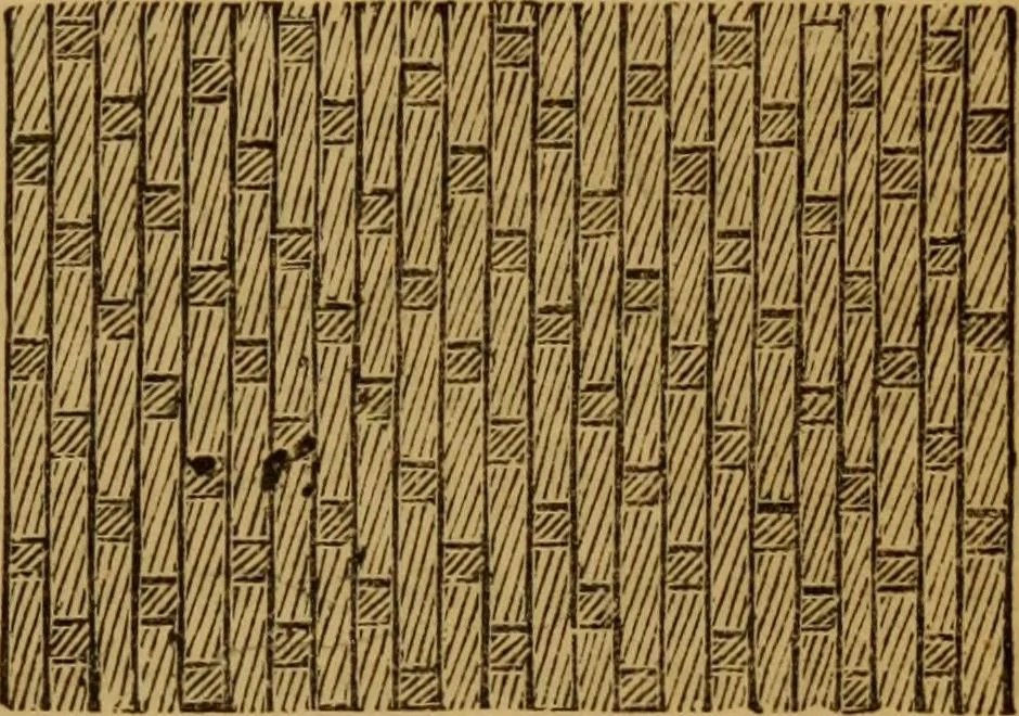 An illustration from Design in textile fabrics, 1883, leaf 26