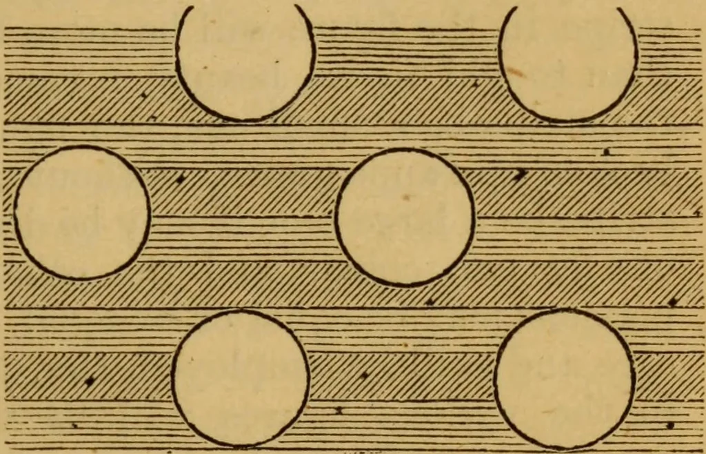 An illustration from Design in textile fabrics, 1883, leaf 96