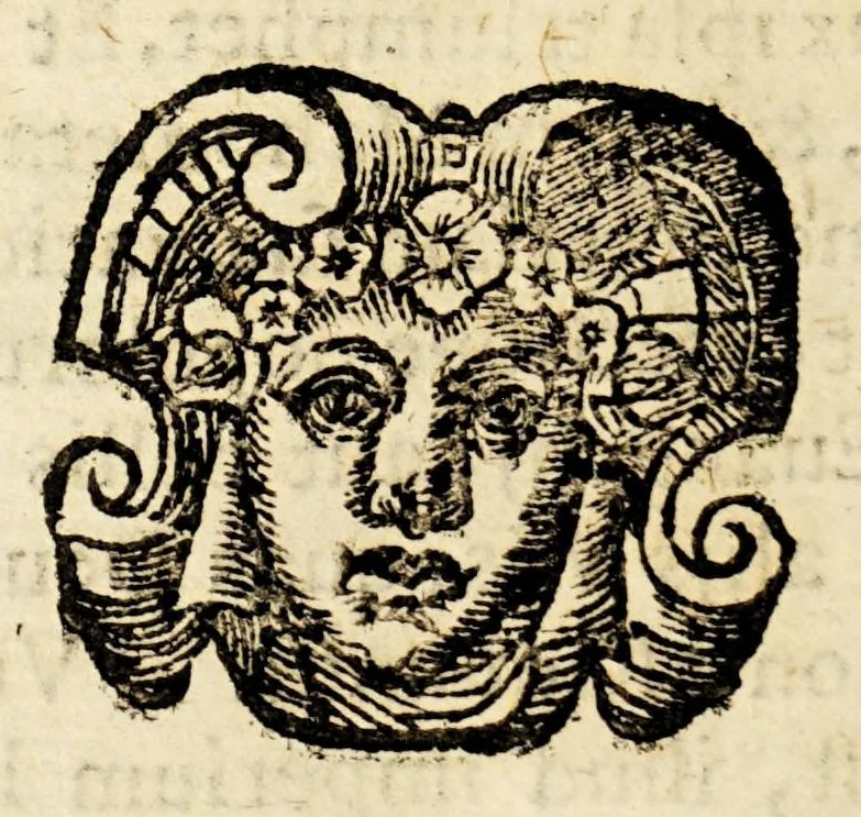 An illustration from De signis sanctissimae crucis, : quae diuersis olim orbis regionibus, & nuper hoc anno 1591. in Gallia & Anglia diuinitus ostensa sunt, & eorum explicatione,, 1591, leaf 196