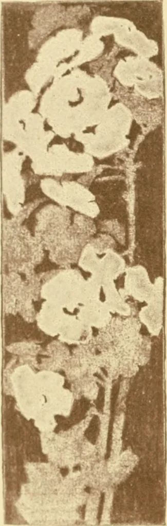 An illustration from Design and representation, 1910, leaf 11