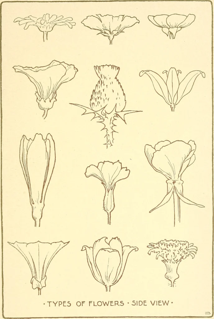 An illustration from Design and representation, 1910, leaf 114