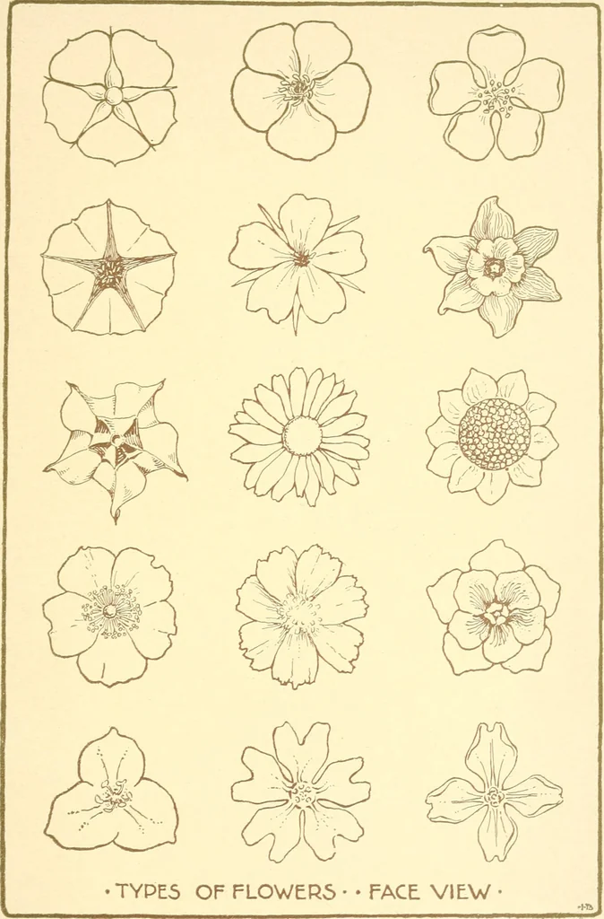 An illustration from Design and representation, 1910, leaf 116