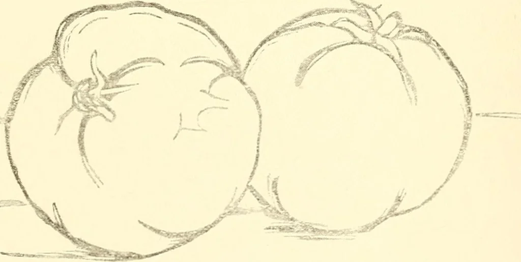 An illustration from Design and representation, 1910, leaf 122