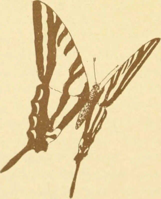 An illustration from Design and representation, 1910, leaf 129