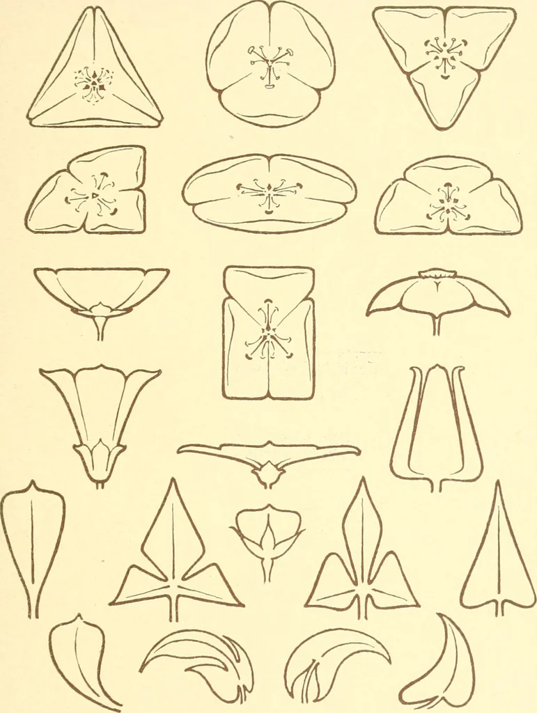 An illustration from Design and representation, 1910, leaf 44
