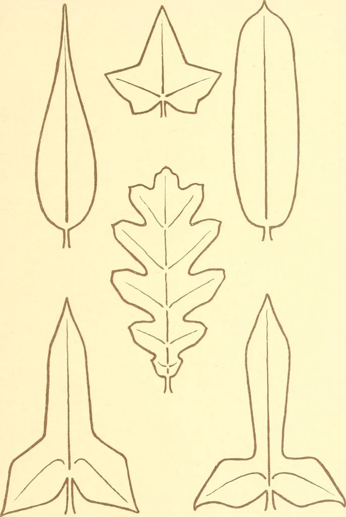 An illustration from Design and representation, 1910, leaf 48