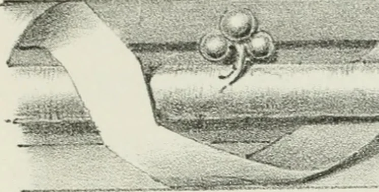 An illustration from Designs for Gothic ornaments & furniture, after the ancient manner, for ecclesiastical and domestic purposes, for the use of architects, and workers in metal, stone, wood, etc., etc, 1854, leaf 104