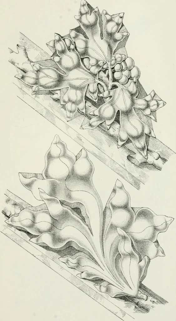 An illustration from Designs for Gothic ornaments & furniture, after the ancient manner, for ecclesiastical and domestic purposes, for the use of architects, and workers in metal, stone, wood, etc., etc, 1854, leaf 32