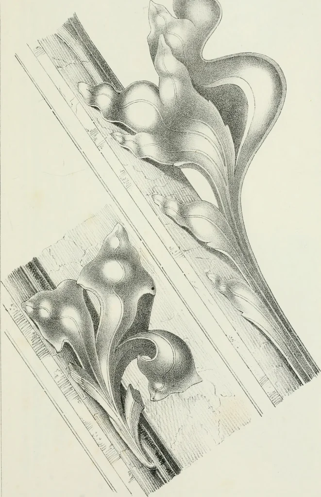 An illustration from Designs for Gothic ornaments & furniture, after the ancient manner, for ecclesiastical and domestic purposes, for the use of architects, and workers in metal, stone, wood, etc., etc, 1854, leaf 54