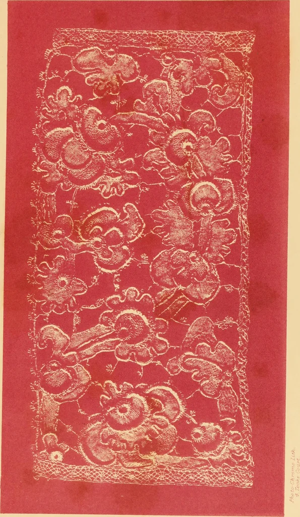 An illustration from Designs for lace making, 1870, leaf 17