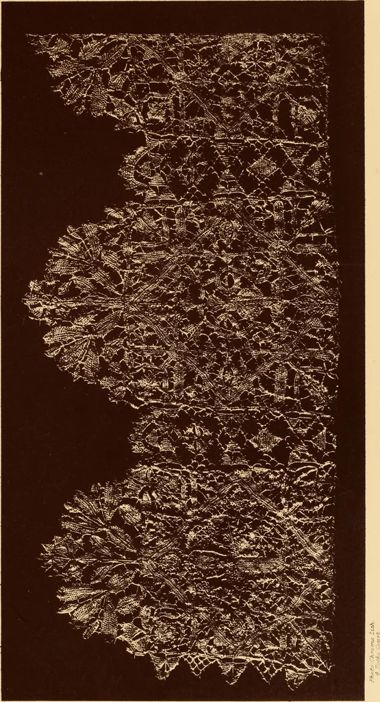 An illustration from Designs for lace making, 1870, leaf 23