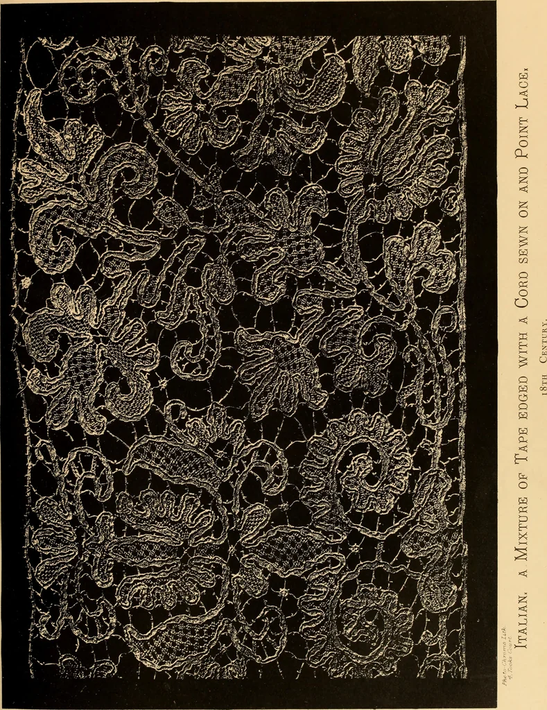 An illustration from Designs for lace making, 1870, leaf 43