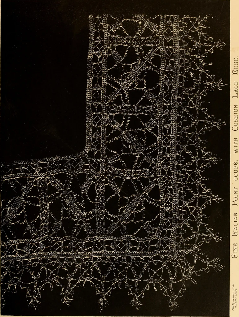 An illustration from Designs for lace making, 1870, leaf 47