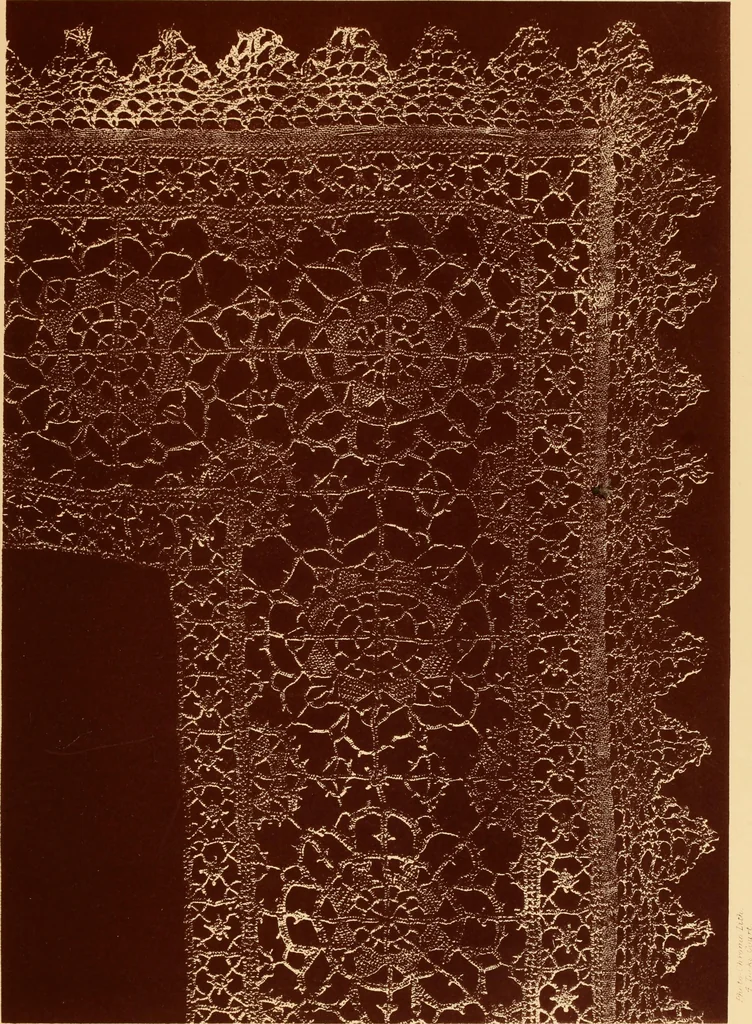 An illustration from Designs for lace making, 1870, leaf 49
