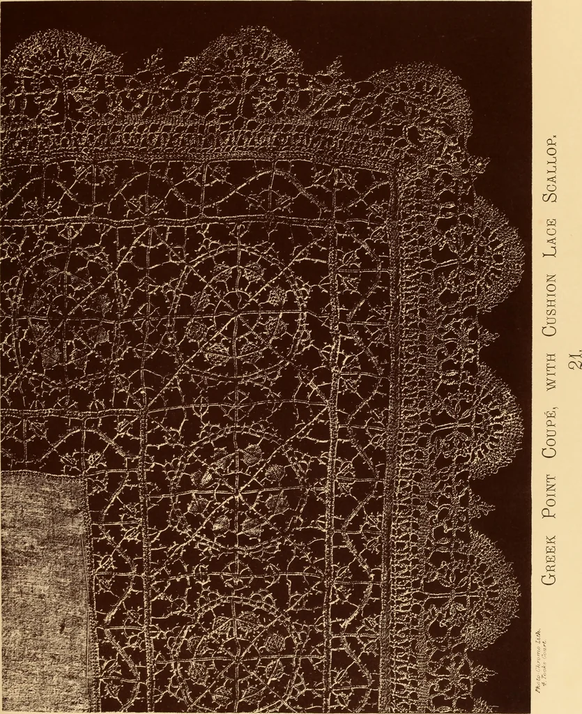 An illustration from Designs for lace making, 1870, leaf 55