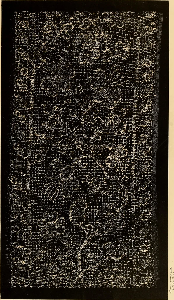An illustration from Designs for lace making, 1870, leaf 71