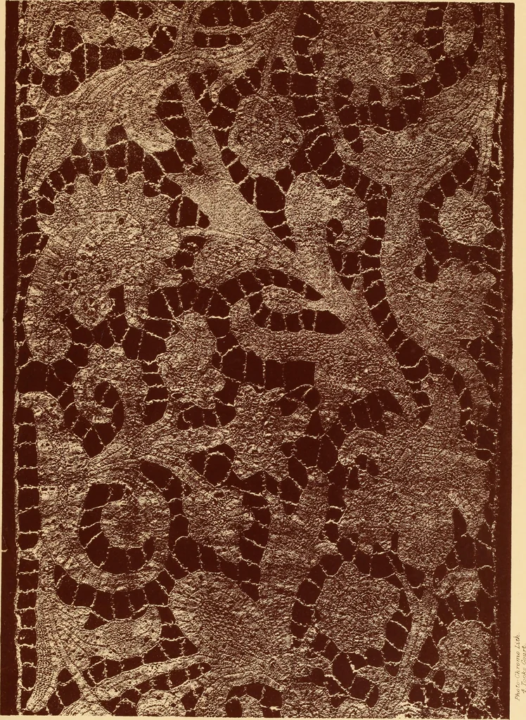 An illustration from Designs for lace making, 1870, leaf 91