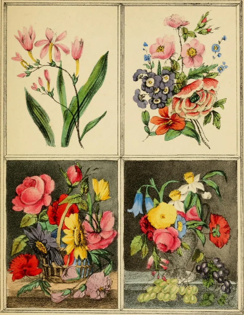 An illustration from Designs for ornamental window glass : with explanatory remarks and an index : 1st March, 1847, 1847, leaf 81