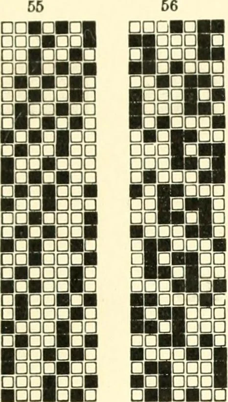 An illustration from Design texts : a practical treatise on textile design, cloth construction, fabric analysis and calculations, 1910, leaf 203
