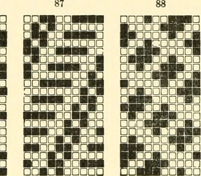 An illustration from Design texts : a practical treatise on textile design, cloth construction, fabric analysis and calculations, 1910, leaf 216