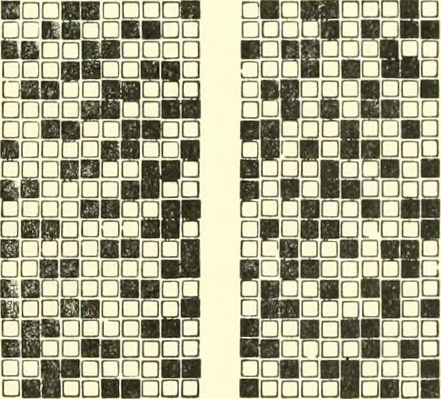 An illustration from Design texts : a practical treatise on textile design, cloth construction, fabric analysis and calculations, 1910, leaf 217