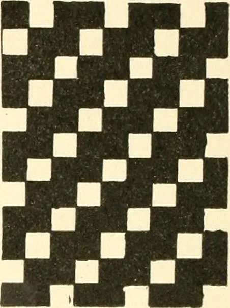 An illustration from Design texts : a practical treatise on textile design, cloth construction, fabric analysis and calculations, 1910, leaf 22